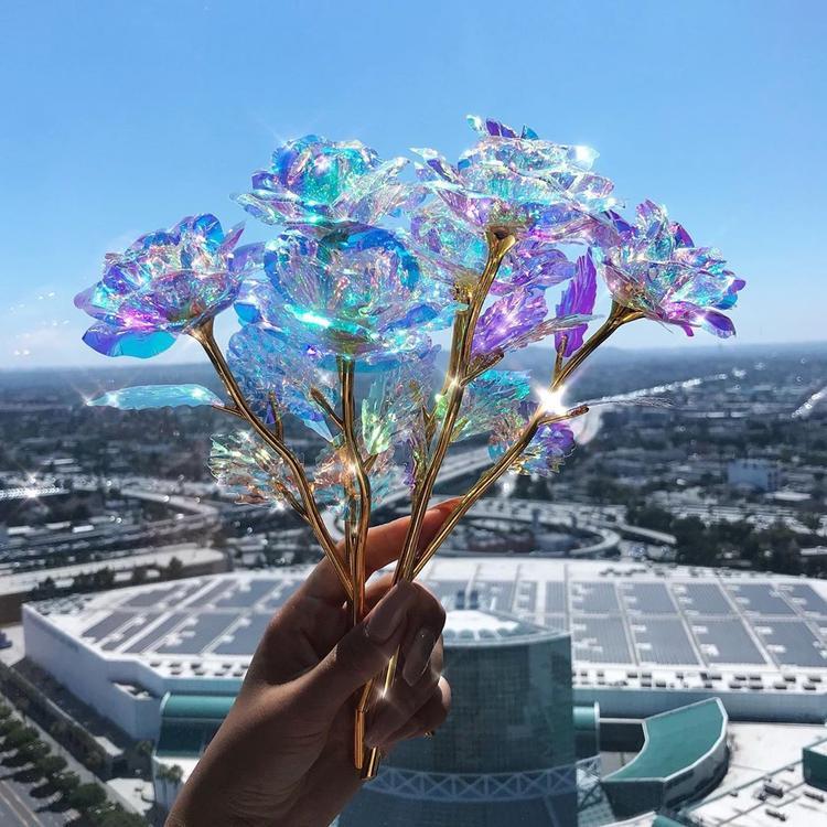 The Galaxy Rose of Love
